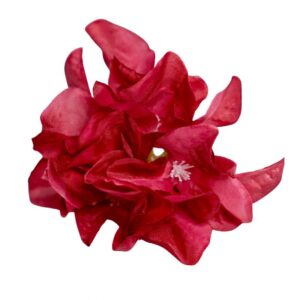 FLOR FLAMENCA BUGAMBILLA FRESA