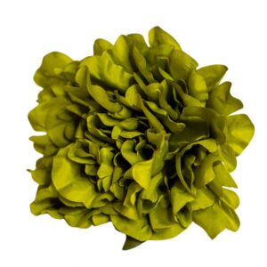 FLOR FLAMENCA PEONIA VERDE SECO