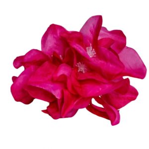 FLOR FLAMENCA BUGAMBILLA FUCSIA