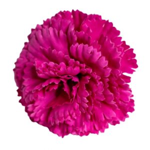 FLOR FLAMENCA CLAVEL FUCSIA
