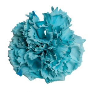 FLOR FLAMENCA CLAVEL MAXI AGUAMARINA