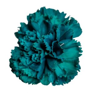 FLOR FLAMENCA CLAVEL MAXI ESMERALDA