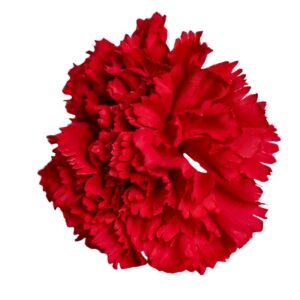 FLOR FLAMENCA CLAVEL MAXI ROJO