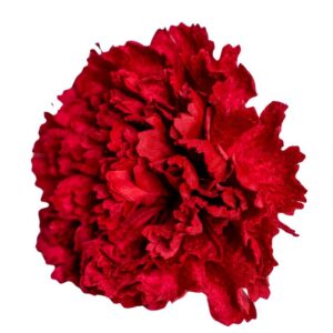 FLOR FLAMENCA CLAVEL MAXI TERCIOPELO ROJO