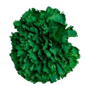 FLOR FLAMENCA CLAVEL MAXI VERDE ANDALUCIA