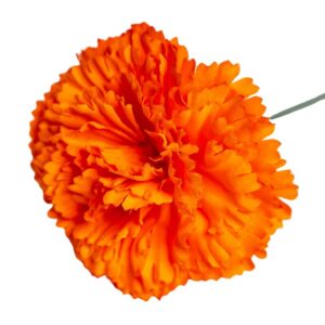 FLOR FLAMENCA CLAVEL NARANJA