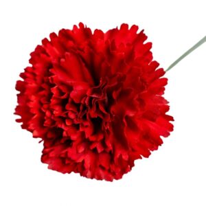 FLOR FLAMENCA CLAVEL ROJO