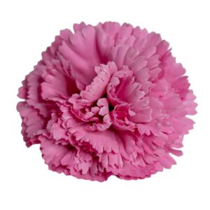 FLOR FLAMENCA CLAVEL ROSA