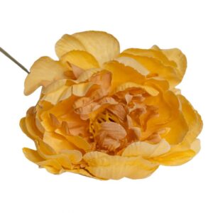 FLOR FLAMENCA PEONIA ALBERO