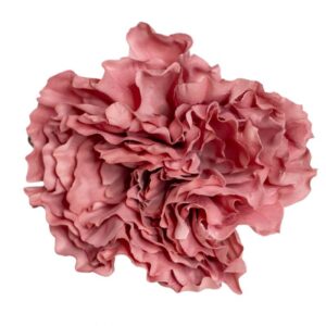 FLOR FLAMENCA PEONIA MAQUILLAJE