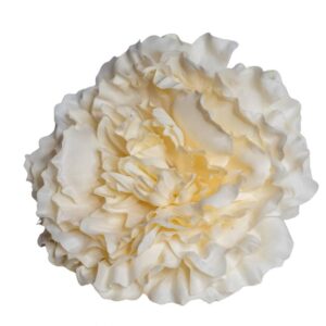 FLOR FLAMENCA PEONIA MAXI BEIGE