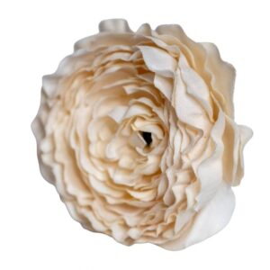 FLOR FLAMENCA PEONIA MINI BEIGE
