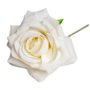 FLOR FLAMENCA ROSA  BLANCA