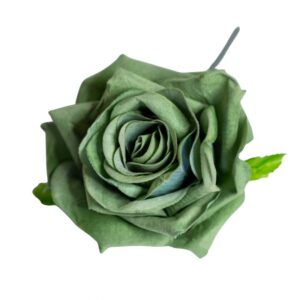 FLOR FLAMENCA ROSA VERDE
