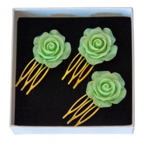 PEINECILLOS ROSA VERDE