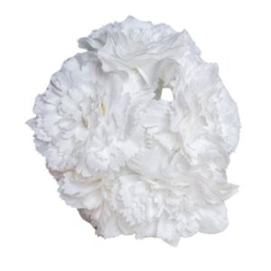 RAMILLETE FLAMENCA CLAVEL MINI BLANCO