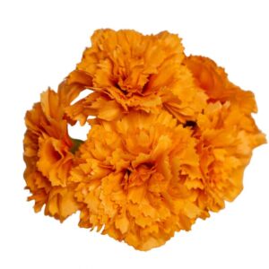 RAMILLETE FLAMENCA CLAVEL MINI MANDARINA