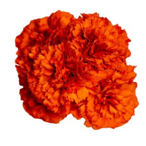 RAMILLETE FLAMENCA CLAVEL MINI NARANJA