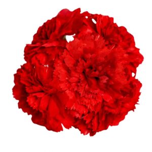 RAMILLETE FLAMENCA CLAVEL MINI ROJO