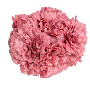 RAMILLETE FLAMENCA CLAVEL MINI ROSA