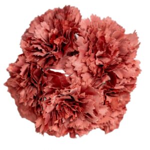RAMILLETE FLAMENCA CLAVEL MINI TEJA