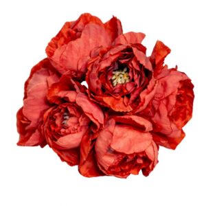 RAMILLETE FLAMENCA PEONIA CALDERA
